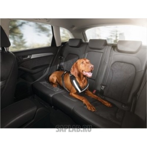 Купить Audi 8X0019409 Ремень для собаки в салоне Audi, артикул 8X0019409