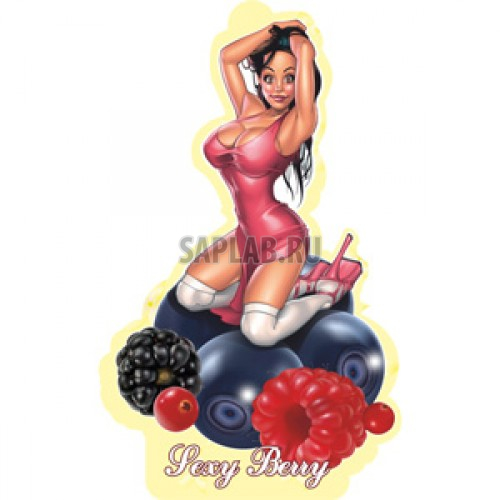 Купить AZARD BBS01 Ароматизатор воздуха подвесной картонный AZARD 