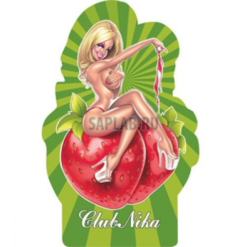 Купить AZARD BBS04 Ароматизатор воздуха подвесной картонный AZARD 