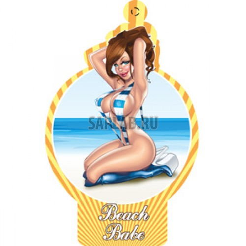 Купить AZARD BBS05 Ароматизатор воздуха подвесной картонный AZARD 