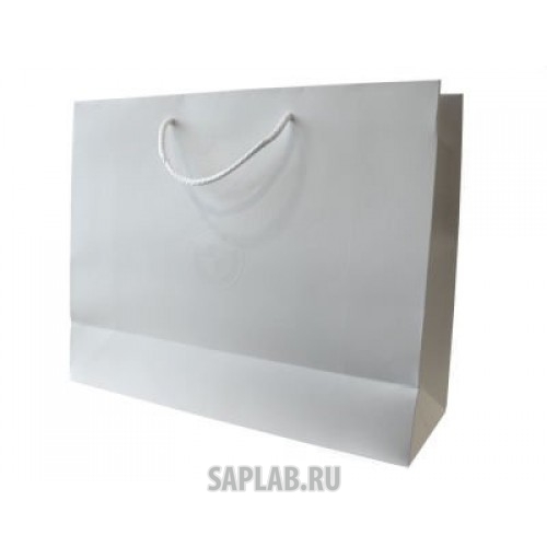 Купить BMW 80502452051 Бумажный подарочный пакет BMW Paper Bag, White, Size M