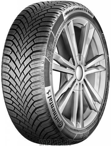 Купить CONTINENTAL 0355202 Шины CONTINENTAL WintContact TS 860 195/55 R16 91H XL 03552020000