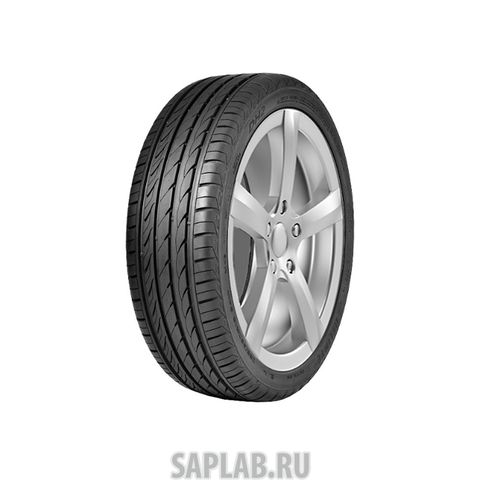 Купить DELINTE 6901532200156 Шины Delinte DH2 195/55 R15 85V