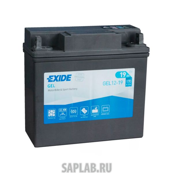 Купить EXIDE GEL1219 АКБ Moto Gel 19 (20h)Ah 170a 185x80x170 Полярность Etn 0 Токовыводы M11 EXIDE  GEL1219