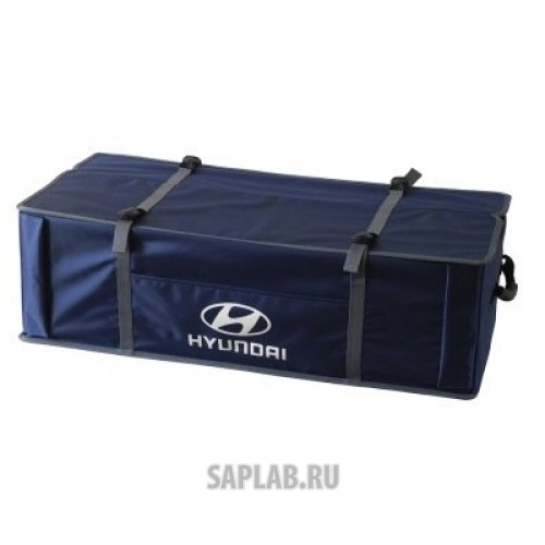 Купить Hyundai R8480AC011H Автомобильный органайзер Hyundai, с крышкой, артикул R8480AC011H