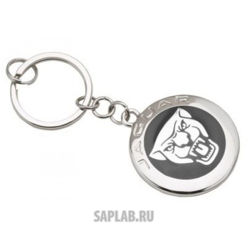 Купить Jaguar JAKR274BKA Брелок Jaguar Growler Keyring, Black, артикул JAKR274BKA