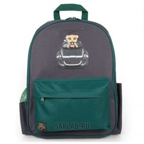 Купить Jaguar JDBC831GYA Детский рюкзак Jaguar Kids Backpack, Grey/Green, артикул JDBC831GYA