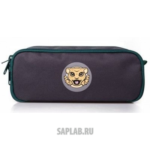 Купить Jaguar JDGF833GYA Детский пенал Jaguar Kids Pen Case, Grey/Green, артикул JDGF833GYA