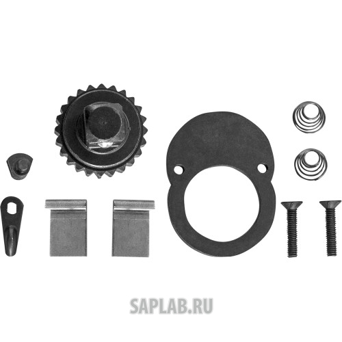 Купить JONNESWAY T04250RK Ремонтный комплект для динамометрического ключа Т04M250, T04250-RK JONNESWAY
