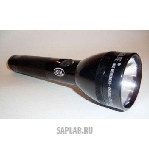 Купить Kia R8480AC321K Фонарик Kia, черный