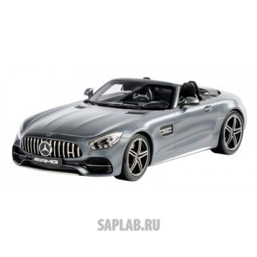 Купить MERCEDES B66960444 Модель Mercedes-AMG GT C, Roadster, Designo Selenite Grey Magno