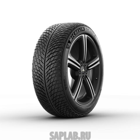 Купить MICHELIN 0355029 Шины MICHELIN  315/30/21  V 105 PILOT ALPIN 5  XL (NA5)