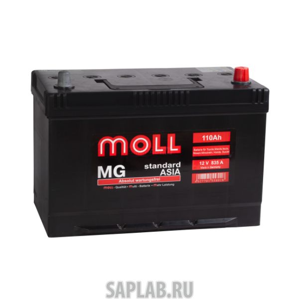 Купить MOLL 110R835A Аккумулятор MOLL MG Standard Asia 110R 835A 292x170x215