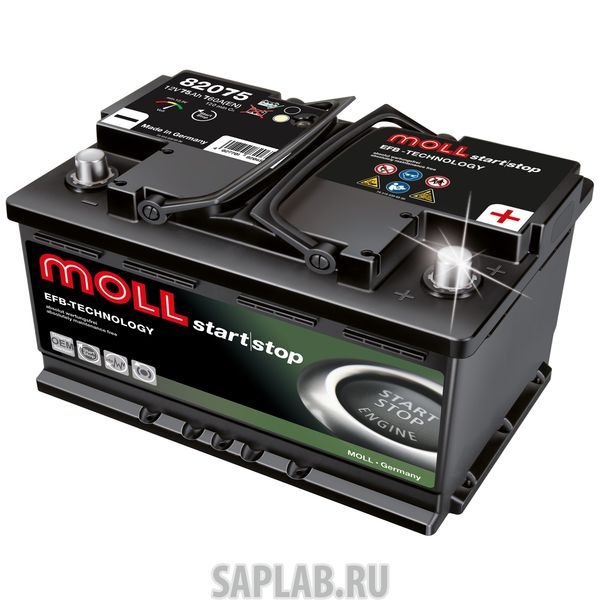 Купить MOLL EFB75R Аккумулятор MOLL EFB 75R 542