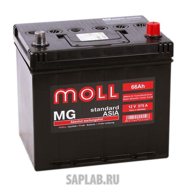 Купить MOLL MG66JR Аккумулятор MOLL MG 66JR 587