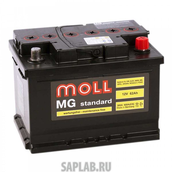 Купить MOLL MGSTANDARD62L Аккумулятор MOLL MG Standard 62L 600A 242x175x190