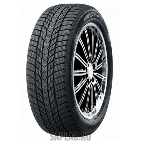 Купить ROADSTONE R16121 Шины ROADSTONE WINGUARD ICE PLUS 225/45/18 T 95 R16121