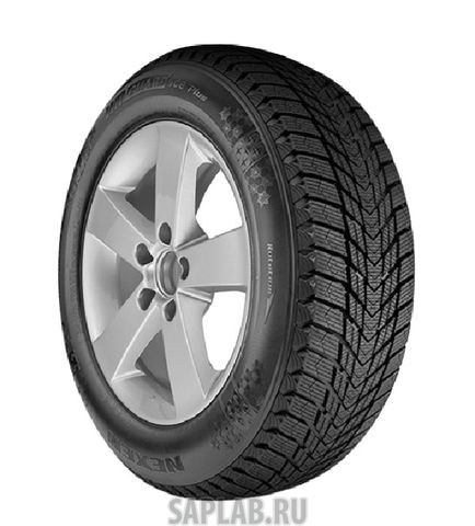 Купить ROADSTONE ROADS16124 Шины ROADSTONE WinGuard Ice Plus XL 245/45 R18 100 roads16124