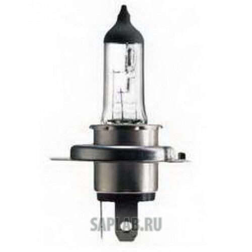 Купить SCT 202013 Лампа накаливания SCT 202013