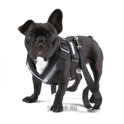 Купить Skoda 000019409C Ремень безопасности для собаки Skoda Dog Safety Belt, размер L