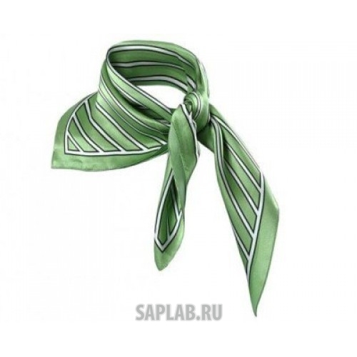 Купить Skoda 000084330EGTI Женский шелковый платок Skoda Womans Scarf, Green