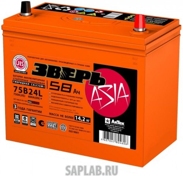 Купить ЗВЕРЬ 6СТ581 Аккумулятор ЗВЕРЬ ASIA 58 А/ч прямая L+ EN 600A 238x129x225 6СТ-58LЗУ/75B24R 6СТ-58.1